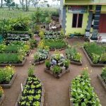 Mengungkap Rahasia Dapur Menghindari Kesalahan Umum Saat Membuat Sayur Asem Di Rumah Agar Rasanya Autentik Dan Segar