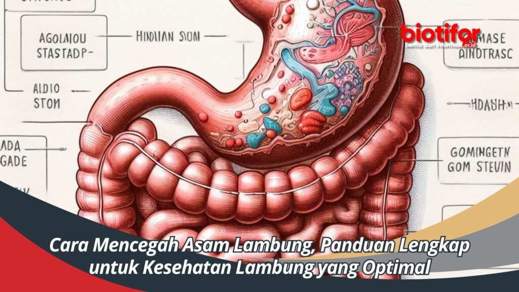 Panduan Lengkap Mengenal Asam Lambung Memahami Kesehatan Pencernaan Anda